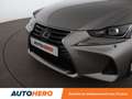 Lexus IS 300 IS 300h Сірий - thumbnail 29