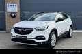 Opel Grandland X 1.2 Turbo 130PK Bus. Executive Automaat | Trekhaak Blanc - thumbnail 1
