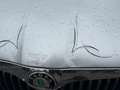 Skoda Fabia 1.6-16V Ambiente 1e eigenaar! lichte voorschade! Gris - thumbnail 14