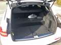 Mercedes-Benz E 300 de T AMG NightP AHK LED Widescreen Kamera Blanc - thumbnail 13