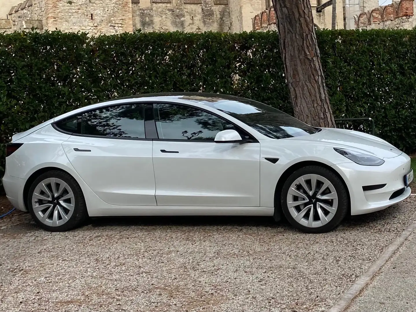 Tesla Model 3 Model 3 Standard Range RWD Plus 57,5kWh RWD Plus Weiß - 1
