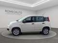 Fiat Panda 0.9 TwinAir Natural Power 80cv Bianco - thumbnail 3