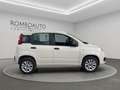Fiat Panda 0.9 TwinAir Natural Power 80cv Bianco - thumbnail 7