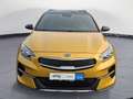 Kia XCeed 1.6 T-GDI DCT Xdition Navi ACC HiFi RFK Gelb - thumbnail 7