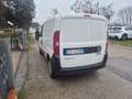 Fiat Doblo Doblo 1.3 mjt 16v 70 kw Weiß - thumbnail 2