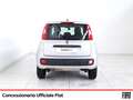 Fiat Panda 0.9 t.air t. natural power easy 80cv Grigio - thumbnail 5