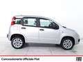 Fiat Panda 0.9 t.air t. natural power easy 80cv Grigio - thumbnail 6