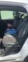 Ford S-Max S-MAX Titanium 2,0 TDCi DPF Titanium Weiß - thumbnail 9