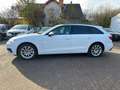 Audi A4 Avant 40 TDI quattro Sport *LED*Kamera*ACC* Weiß - thumbnail 8