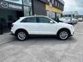 Audi Q3 Q3 2.0 tdi Business 150cv NAVI SENS ANT POST Wit - thumbnail 3