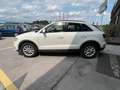 Audi Q3 Q3 2.0 tdi Business 150cv NAVI SENS ANT POST Wit - thumbnail 12