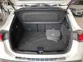 Mercedes-Benz EQA 250 +Progressive+MBUX+KAMERA+Ambiente+SHZ Weiß - thumbnail 11