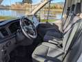 Ford Transit FT 350 L3 Chasis Trend 269 Trend Blanco - thumbnail 13