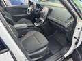 Renault Scenic Scénic Blue dCi 120 CV Sport Edition2 Bianco - thumbnail 9
