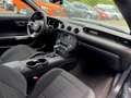Ford Mustang Cabrio Grau - thumbnail 12
