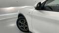 Alfa Romeo Stelvio 2.2 Villa D´Este Q4 210 Aut. Blanco - thumbnail 21