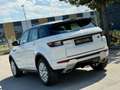 Land Rover Range Rover Evoque SE Dynamic 2,0 TD4 Aut. Weiß - thumbnail 9
