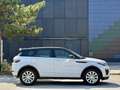 Land Rover Range Rover Evoque SE Dynamic 2,0 TD4 Aut. Weiß - thumbnail 6