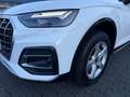 Audi Q5 40 TDI quattro advanced 5J-GARANTIE/LED/NAVI Weiß - thumbnail 26
