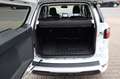 Ford EcoSport 1.0 ST-Line/AUTM./CAM/PDC/LEDER/SHZ Weiß - thumbnail 13
