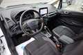Ford EcoSport 1.0 ST-Line/AUTM./CAM/PDC/LEDER/SHZ Weiß - thumbnail 17