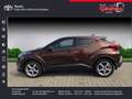 Toyota C-HR 1.2 Turbo Lounge Braun - thumbnail 3