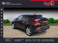 Toyota C-HR 1.2 Turbo Lounge Braun - thumbnail 2