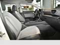 SEAT Leon 2.0 TDI DSG Style LED SHZ Klima PDC DAB+ Klima Weiß - thumbnail 4
