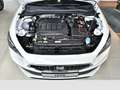 SEAT Leon 2.0 TDI DSG Style LED SHZ Klima PDC DAB+ Klima Weiß - thumbnail 14