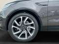 Land Rover Discovery D300 SE Dyn+Pano+ACC+AHK+StHzg+Winterpaket Grigio - thumbnail 7
