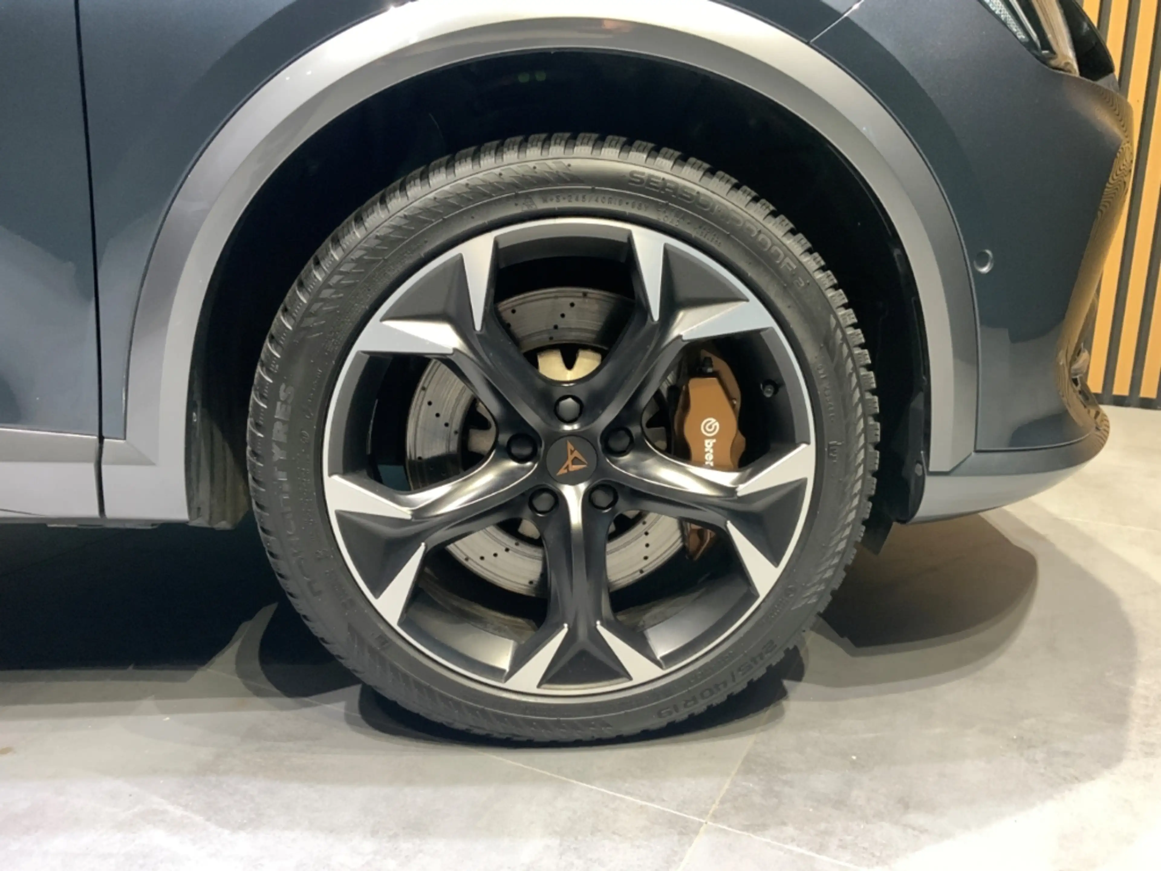 CUPRA Formentor VZ 2.0TSI DSG 4Drive+DCC+ACC+LED+Pano — photo 10