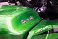 Kawasaki Ninja 1100SX SE Bodis, 1.Hand, unfallfrei Verde - thumbnail 23