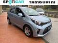 Kia Picanto Picanto 1.0 12V 5 porte Active Blu/Azzurro - thumbnail 1