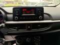 Kia Picanto Picanto 1.0 12V 5 porte Active Blu/Azzurro - thumbnail 14