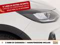 Ford Fiesta active 1.0 ecoboost h 125cv Bianco - thumbnail 14