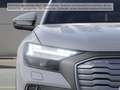Audi 40 e-tron MatrixLED AHK ACC DAB Grau - thumbnail 8