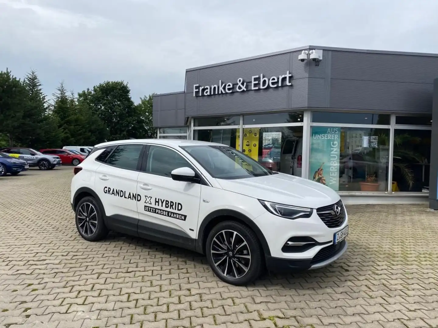 Opel Grandland X GRANDLAND PHEV 4x4 Navi+el. Heckklappe+PP+SHZ Weiß - 1