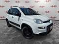 Fiat Panda 1.3 MJT 95 CV 4x4 ! ! ! - thumbnail 1