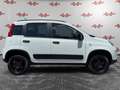 Fiat Panda 1.3 MJT 95 CV 4x4 ! ! ! - thumbnail 2