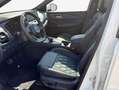 Nissan Qashqai 1.3 DIG-T MHEV Xtronic Tekna+ Weiß - thumbnail 7