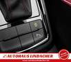 Skoda Scala 1.5 TSI DSG Monte Carlo I Teilleder Rot - thumbnail 26