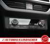 Skoda Scala 1.5 TSI DSG Monte Carlo I Teilleder Rot - thumbnail 25