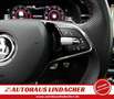 Skoda Scala 1.5 TSI DSG Monte Carlo I Teilleder Rot - thumbnail 21
