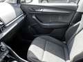 Skoda Karoq 2.0 TDI Clever 4x4 DSG AHK Navi Kamera Argintiu - thumbnail 10