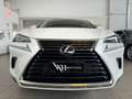 Lexus NX 300 Hybrid 4WD Luxury White - thumbnail 2