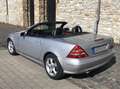 Mercedes-Benz SLK 230 R170 Mopf (Modelpflege) Argintiu - thumbnail 5