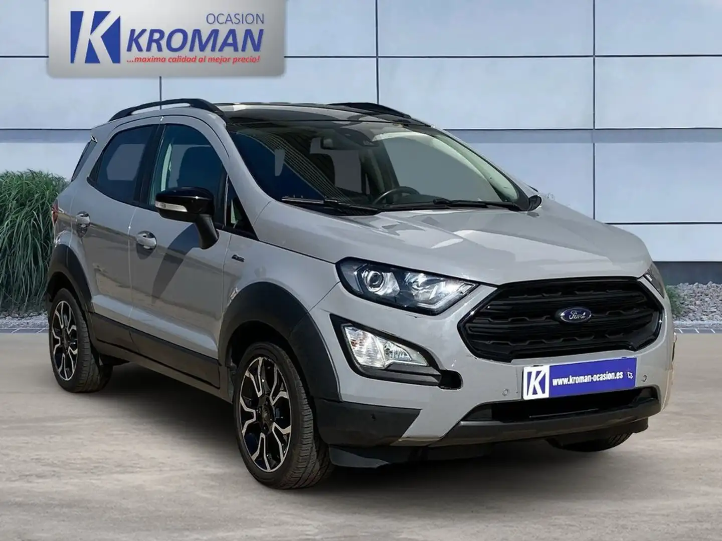 Ford EcoSport 1.0 EcoBoost Active 125 Gris - 1