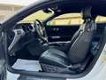 Ford Mustang COUPE' 2.3 ECOBOOST PREMIUM Blanc - thumbnail 9