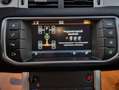 Land Rover Range Rover Evoque 5p 2.0 td4 Pure Business edition 150cv auto Grigio - thumbnail 13