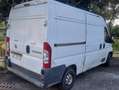 Fiat Ducato Bianco - thumbnail 3